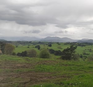 Évasion volcanique et Panoramas du Plateau de Fohet - Aydat - 5