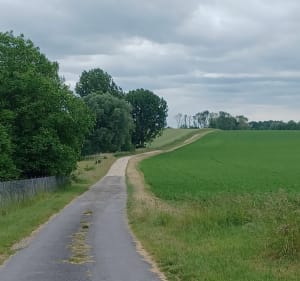 Petit tour en campagne - Braux-Saint-Remy - 2