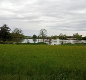 La forêt de Vallin par les sentiers méconnus et ses étangs - Saint-Victor-de-Cessieu - 2
