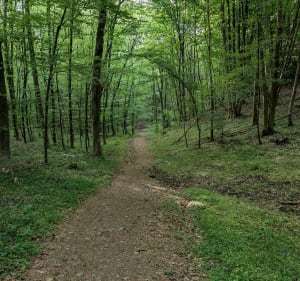 Coudrette, val Allard, Houpeville - Notre-Dame-de-Bondeville - 2