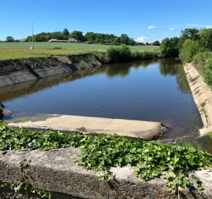 Balade en campagne Machecoulaise - Machecoul-Saint-Même - 3