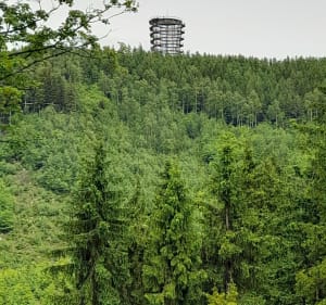 Wokół Chełmca na pętlę Lesistej Wielkiej i Dzikowca - DONATA - 2