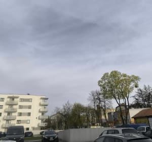 Miasto Iława - Monika - 2