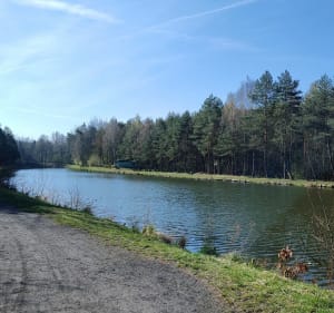 Pętla od KS. Boboli - Ruda Śląska - 2