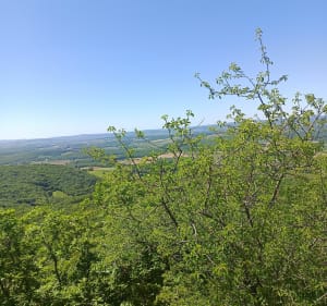 Sentier d'Etrigny jusqu'à la roche d'Anjou - Christophe  - 3