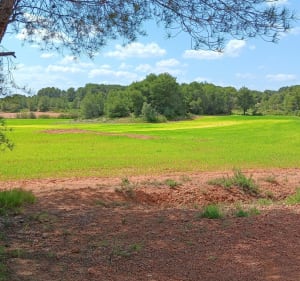 Sur le plateau de Castelnau - Castelnau-de-Guers - 2