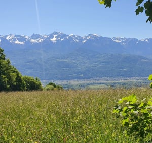 De Biviers à St Ismier en passant par la Tour d'Arces - Biviers - 2