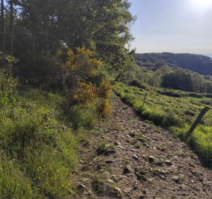 Rugissement des Pierres : chemin des Crêtes et voie romaine - Orcines - 2