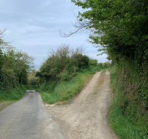Grand chemin des mûres - Surtainville - 4