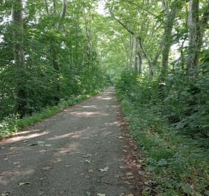 Robertsau entre pistes cyclables et forêts - Strasbourg - 2