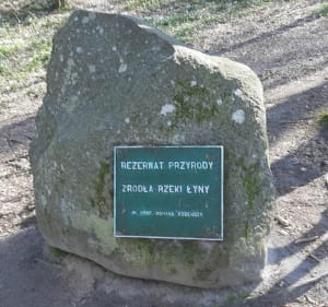 Bunkier , jeziorka i źródła Łyny i bobry. - Wólka Orłowska - 2
