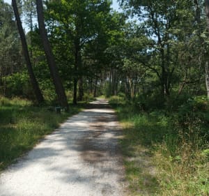 Tour en Forêt de Migelane - Martillac - 2