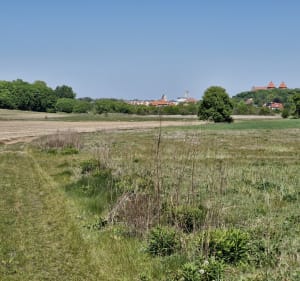 Fajna trasa rowerowa lub biegowa (spacer) 5,4 km - Nidzica - 2