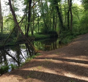 Entre lac et étangs à Saint-Paul-lès-Dax - Doudou - 3