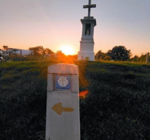 Trasa szlakiem historycznych miejsc w Czersku - Czersk - 2