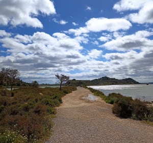 Autour de l'étang de Doul - Peyriac-de-Mer - 2
