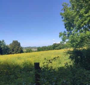 Balade champêtre sur Rajat (Heyrieux) - Frederic - 2