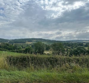Entre château et collégiale depuis Trévilly - Guillon-Terre-Plaine - 2