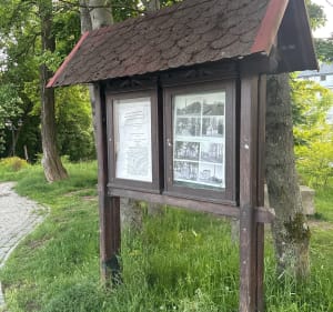 Lasek Brzeźnicki - Bochnia - 2