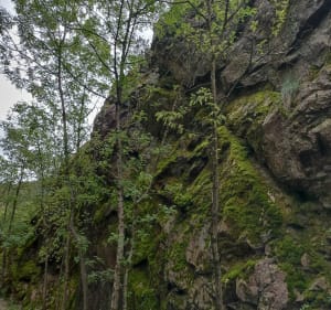 De Lalevade à Vals par l'ancienne voie ferrée - Lalevade-d'Ardèche - 2