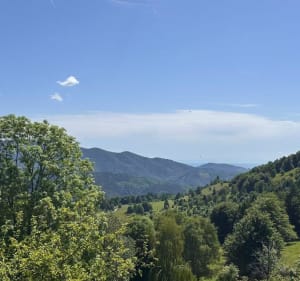 Ascension au Gresson et sa ferme-auberge depuis Rimbach - ALEXIS - 3