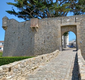 Noirmoutier, ces venelles et roses trémières - Noirmoutier-en-l'Île - 2