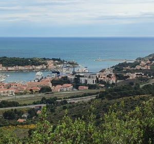 Sur les hauteurs de Port Vendres - Port-Vendres - 2