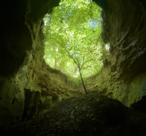 Balade forêt de Saint-Gobain et Pierres Levées - Saint-Gobain - 2