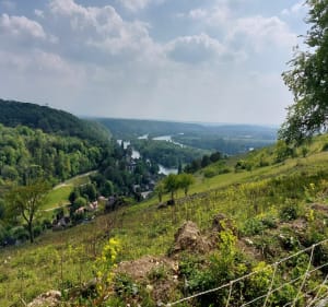Boucle Franqueville-Saint-Pierre et point de vue de Belbeuf - Franqueville-Saint-Pierre - 2