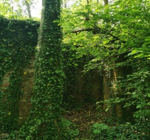 Les ruines du poste d'observation allemand au Mont Tremble - Compiègne - 2