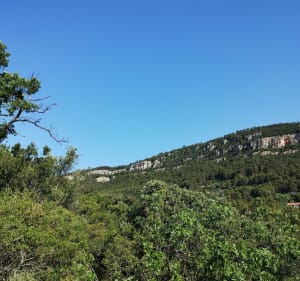 Le massif du Coudon - La Farlède - 2