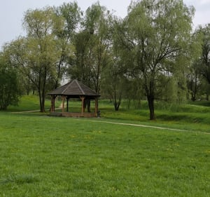Strzeszyn Grecki - spacer po terenach zielonych - Poznań - 2