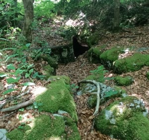 La Molière / Pluzange - Engins - 2