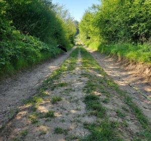 La Coursetoise - Courset - 2