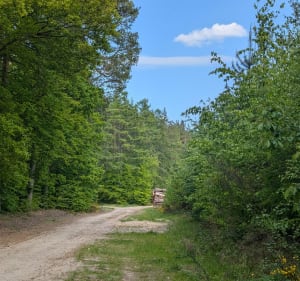 Cisowska Struga - Katarzyna - 4