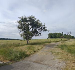 Promenade dans l'intérieur du village Woustviller - Alain - 2