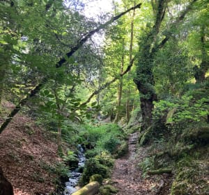 Randonnée à Quimperlé sous les bois - Tréméven - 3