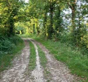 Sortie tranquille, entre le Poiré-sur-Vie et Mouilleron-le-Captif - Mouilleron-le-Captif - 2