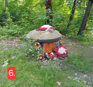 Szlak Lasu Zagórskiego - Sosnowiec - 2