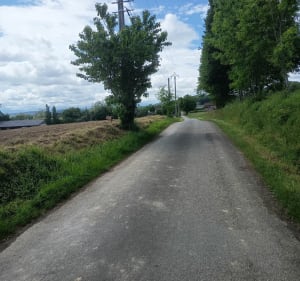 A la découverte de la motte féodale d'Orleix - Orleix - 2