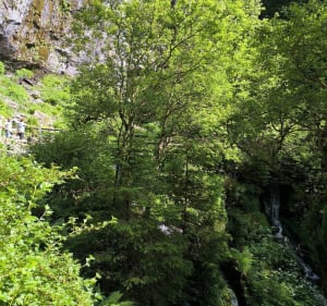 Petite balade - JEROME - 2