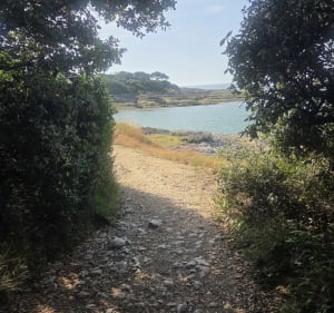 Domaine des fées Saint-Palais-Royan - Royan - 2