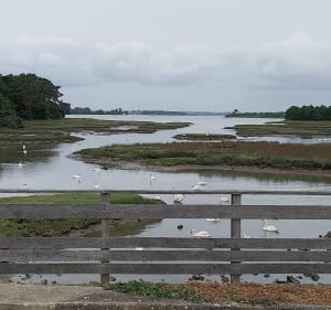 Boucle de Saint Jacques au port du Logeo - Sarzeau - 2