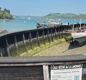Le Minihic-sur-Rance - Anne - 3