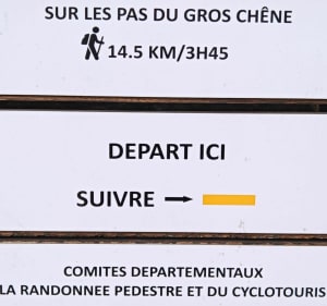 Sur les pas du gros chêne - coline - 4