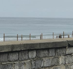 Piste cyclable de Bénesse-Maremne à Capbreton - Bénesse-Maremne - 2