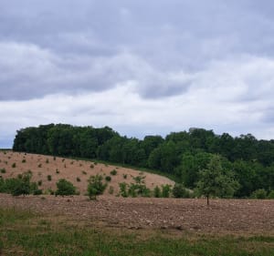 Balade autour de Saint-Amant-de-Nouère - Christelle - 2