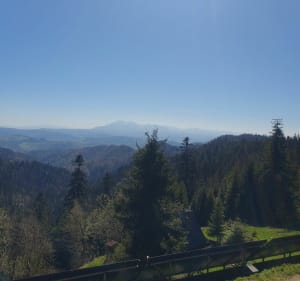 Na Prehybę - Szczawnica - 2