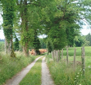 De Landouge au bord de Vienne - Limoges - 2