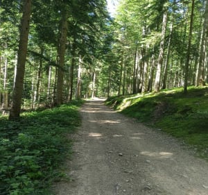 Les ruches - Le Mas-de-Tence - 5